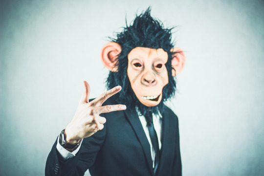 business portrait team